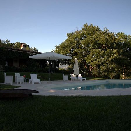 The Forest House Isernia Luaran gambar