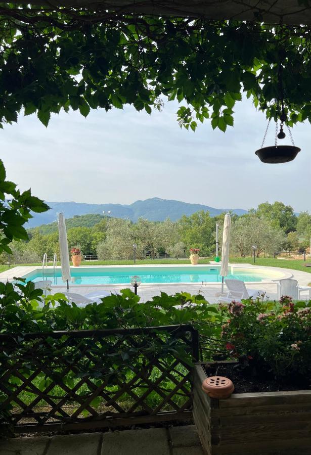 The Forest House Isernia Luaran gambar